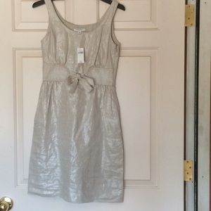 Banana Republic NWT Size 2 Shimmery Dress